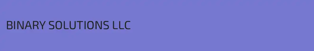 BINARY SOLUTIONS LLC